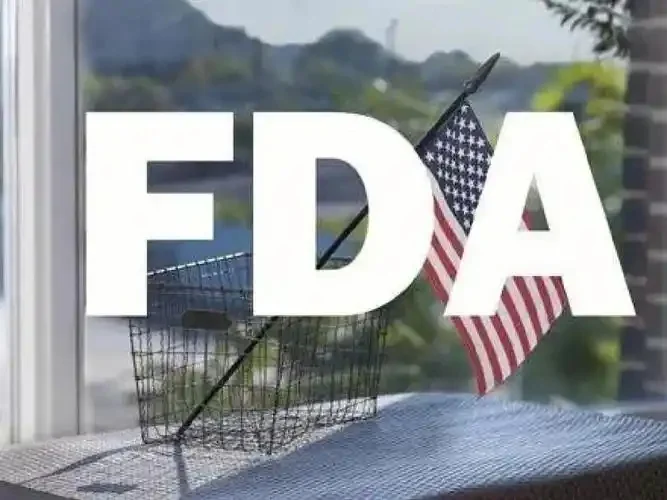FDA审计培训与实战演练服务